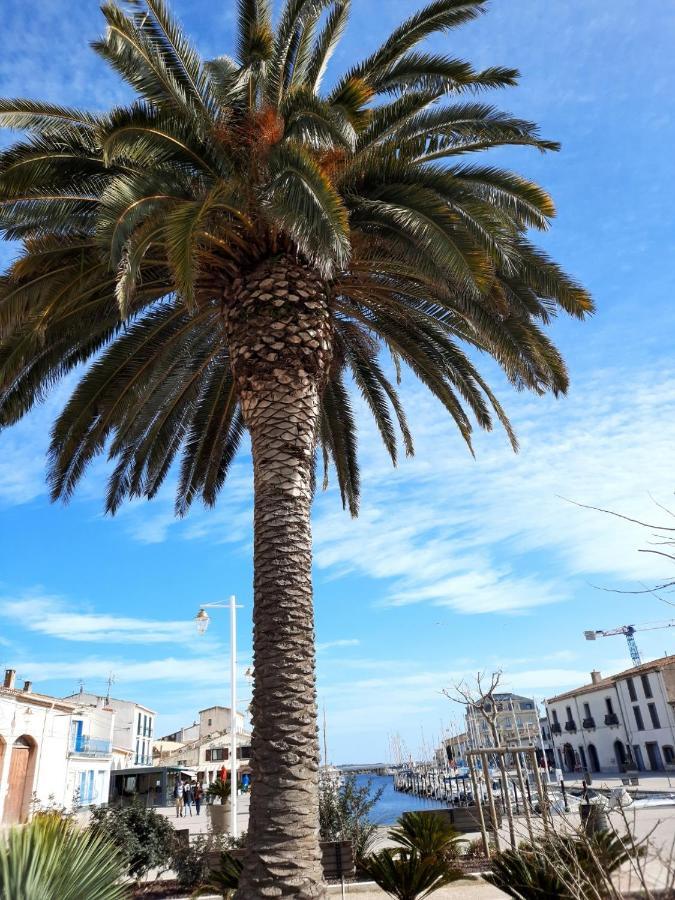 Appartement De Charme Sur Le Port De Marseillan المظهر الخارجي الصورة