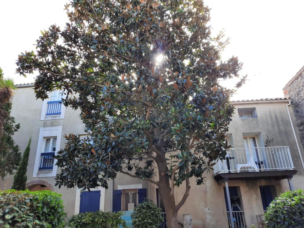 Appartement De Charme Sur Le Port De Marseillan المظهر الخارجي الصورة